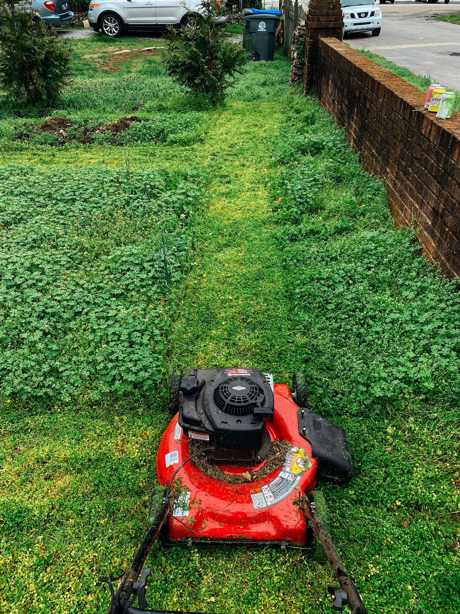 Lawn mower sitting on a freshly cut lawn