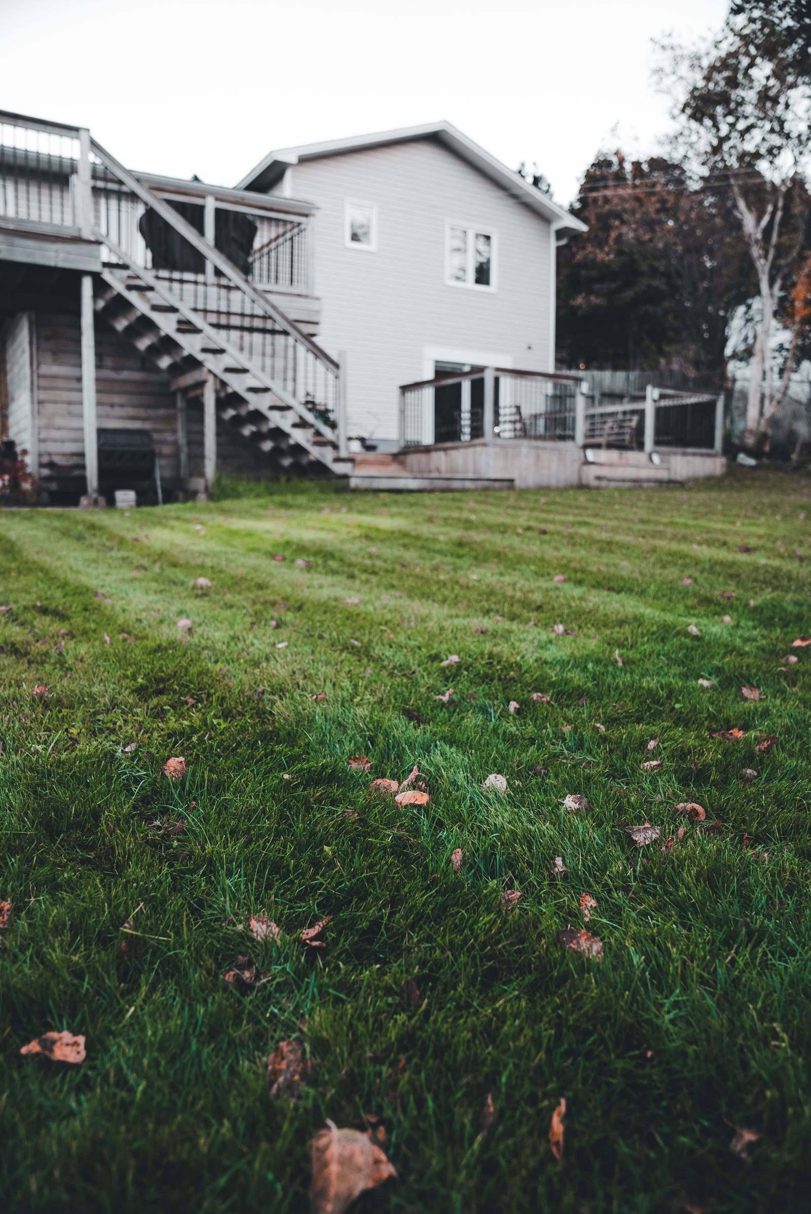 Neat backyard with a freshly mowed lawn