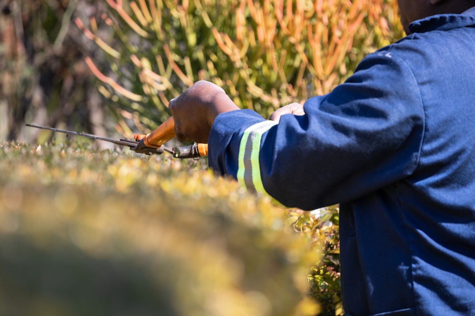Garden Maintenance